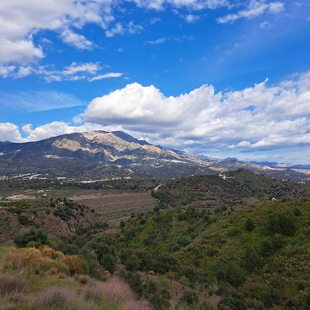 Viñuela Casa Amani Bed & Breakfast エクステリア 写真
