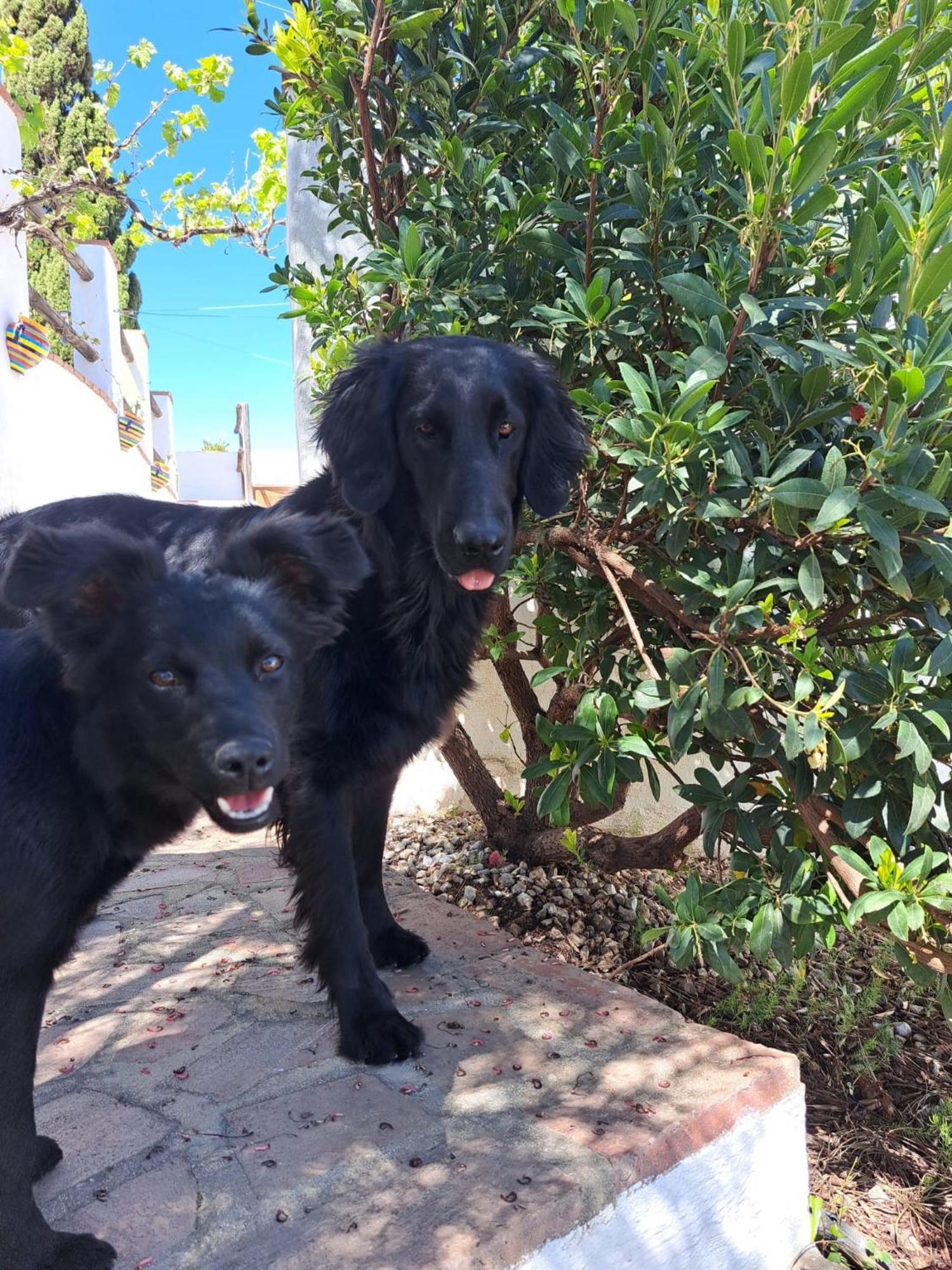 Viñuela Casa Amani Bed & Breakfast エクステリア 写真
