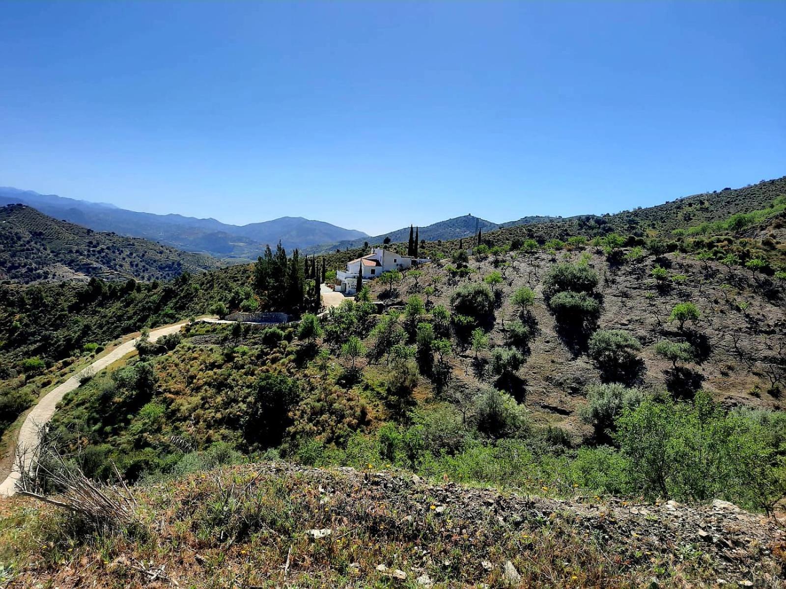 Viñuela Casa Amani Bed & Breakfast エクステリア 写真