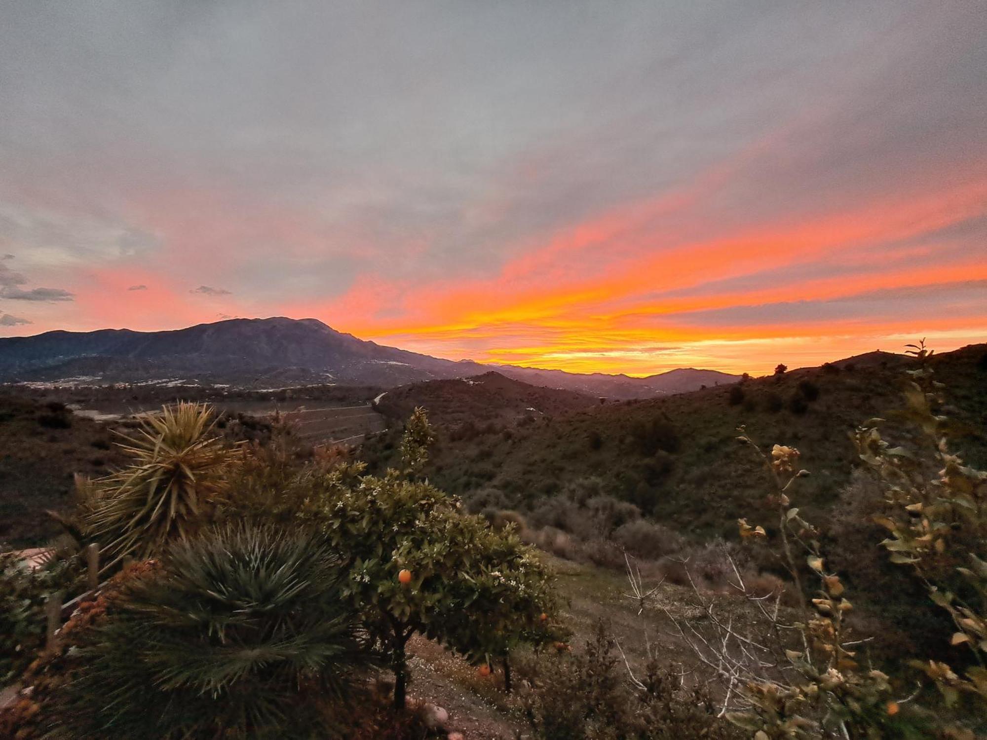 Viñuela Casa Amani Bed & Breakfast エクステリア 写真
