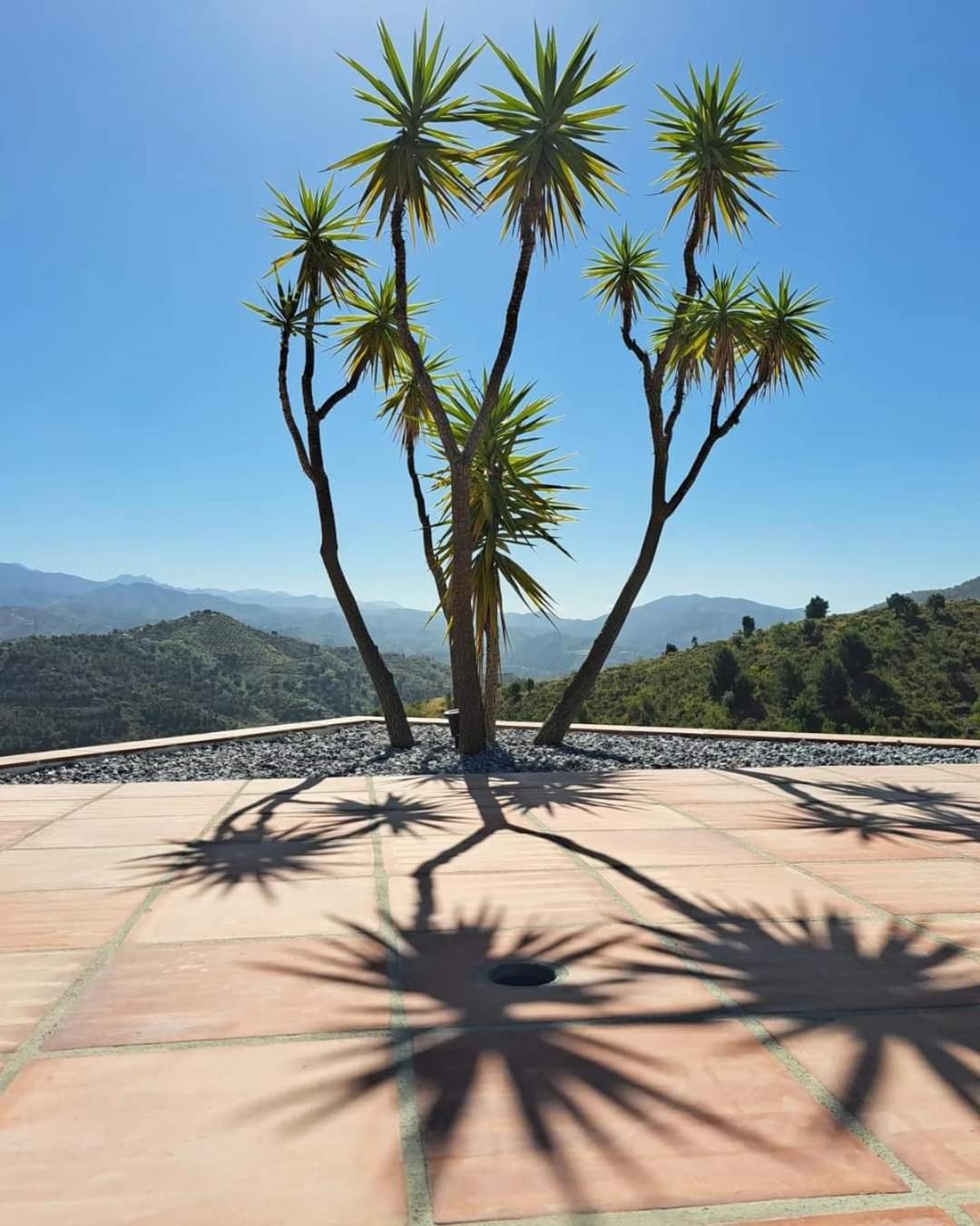 Viñuela Casa Amani Bed & Breakfast エクステリア 写真